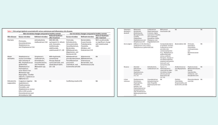 EL PAPEL DE LA DISBIOSIS INTESTINAL Y CUTANEA EN LA APARICION DE DERMATOSIS CRONICAS INFLAMATORIAS Y AUTOINMUNES INTEGRADERM LAURA MOYA 1