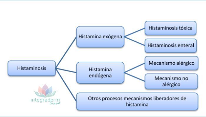 ¿Por qué se generan altos niveles de histamina en nuestro cuerpo? - INTEGRADERM-LAURA MOYA